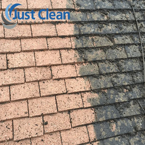 Roof tiles with a cleaned test area