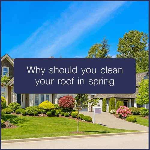 Roof cleaning guide cover showing a house and lawn