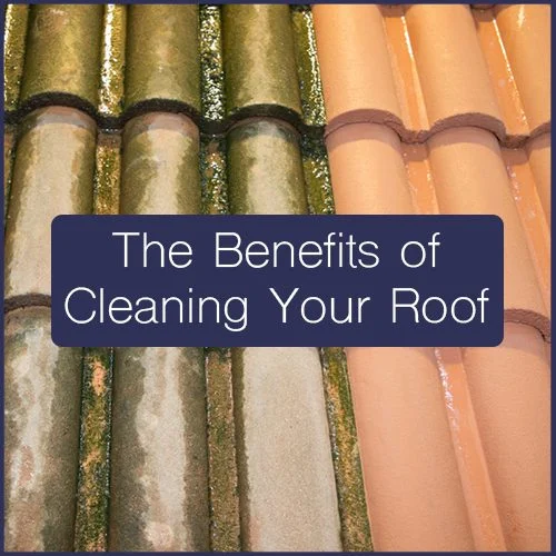 Moss and staining on curved roof tiles