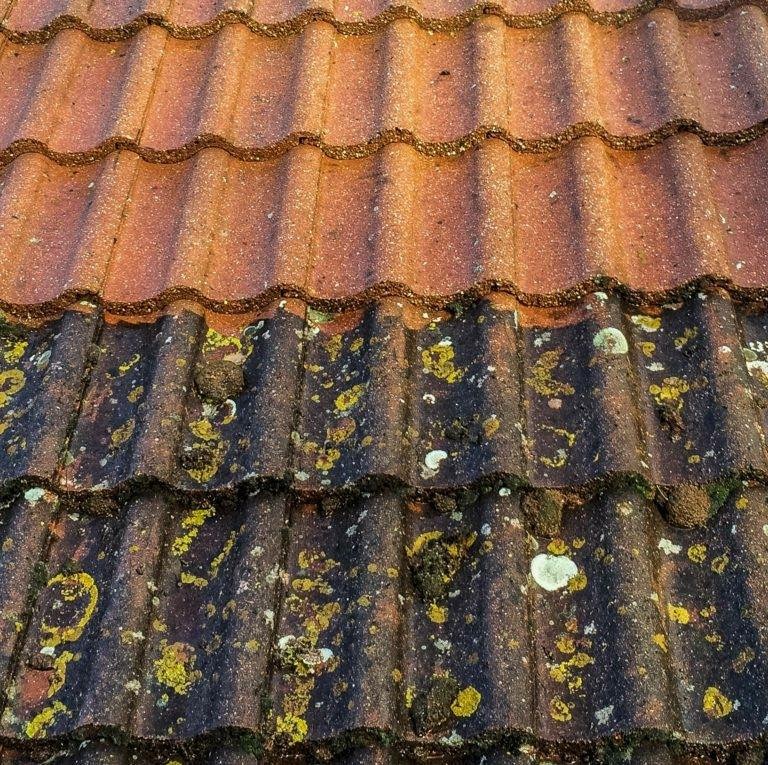 Roof Cleaning in Frodsham