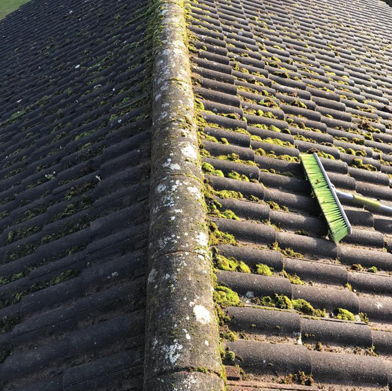 Roof Moss Removal in Wigan