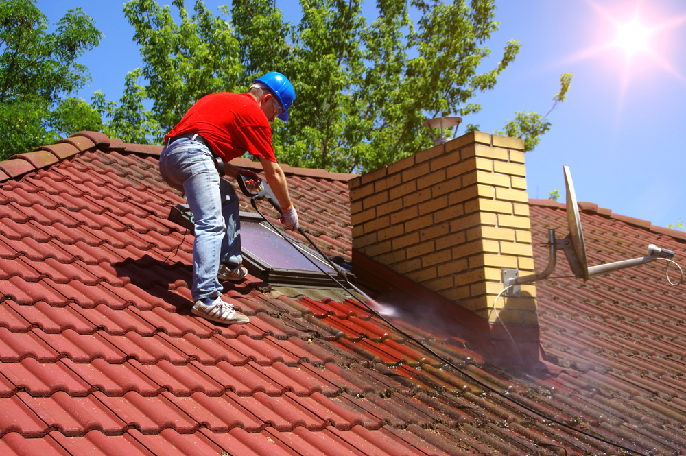 Does My Roof Need Cleaning?