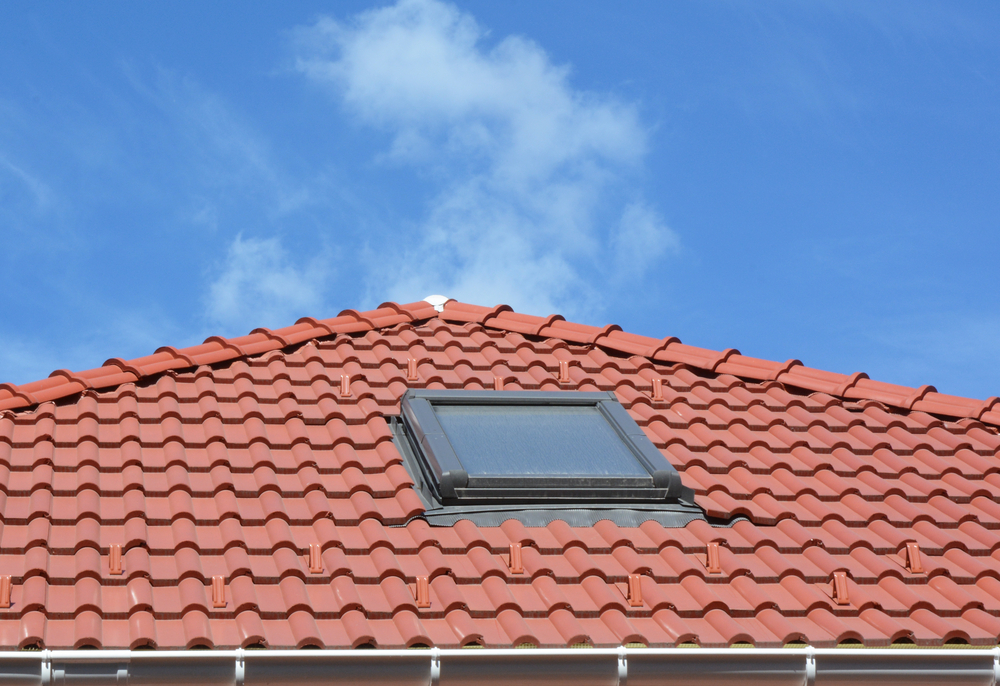 Why Hire a Professional To Clean Your Roof