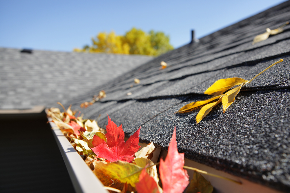 The Best Roof Cleaning in Chorley
