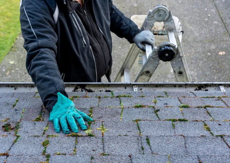 Worker manually removing growth from roof tiles