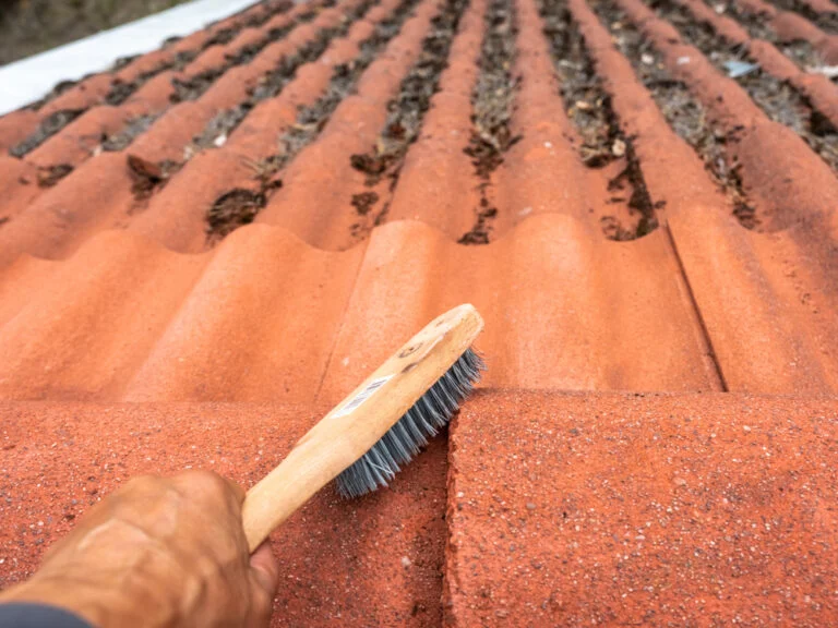 Moss and staining on curved roof tiles