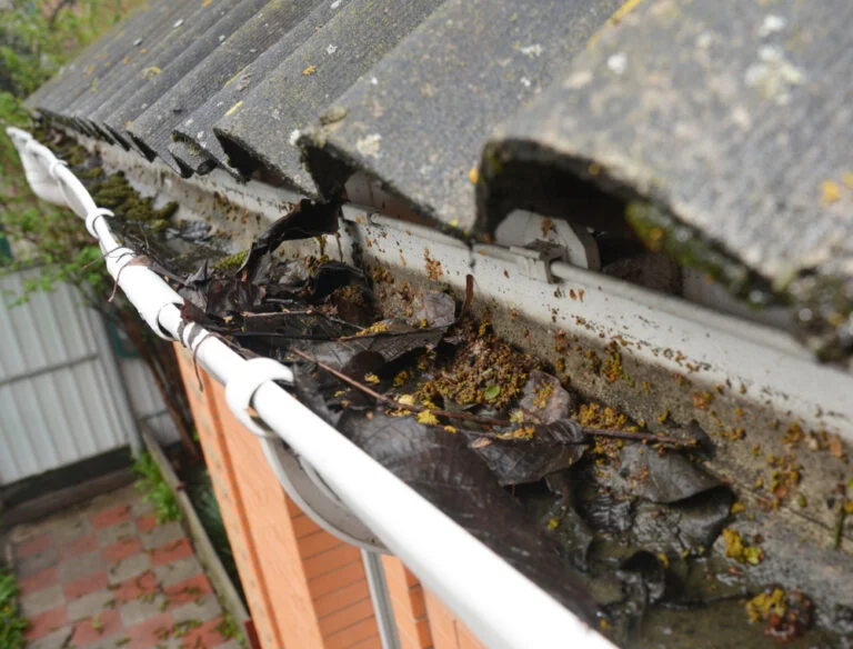 Roof tiles with patches of moss