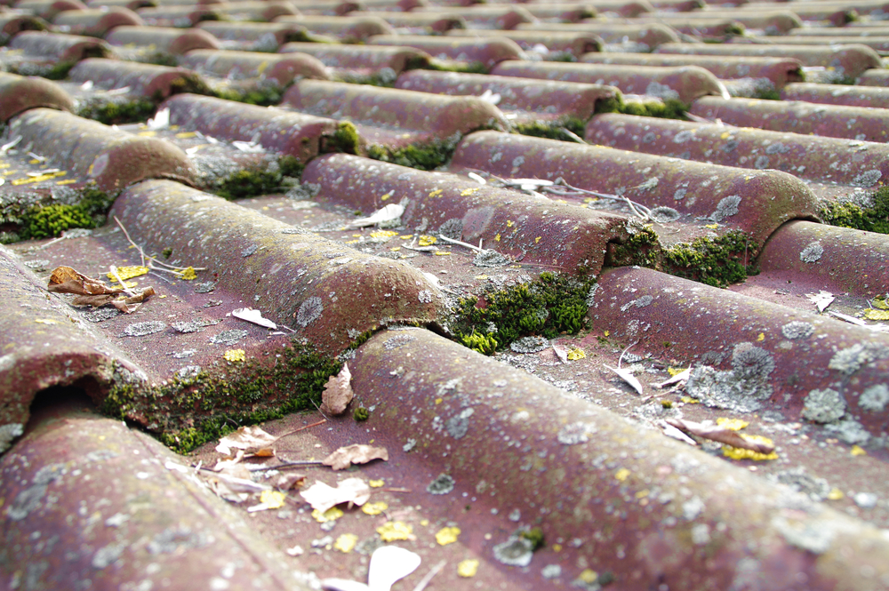 Why Roof Cleaning Is An Essential Part Of House Maintenance