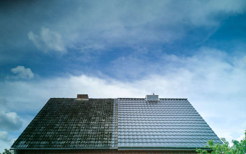 Things To Know About Roof Cleaning At Home