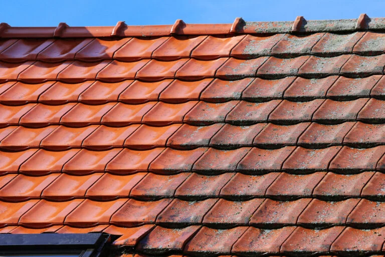 Roof tiles beside a skylight