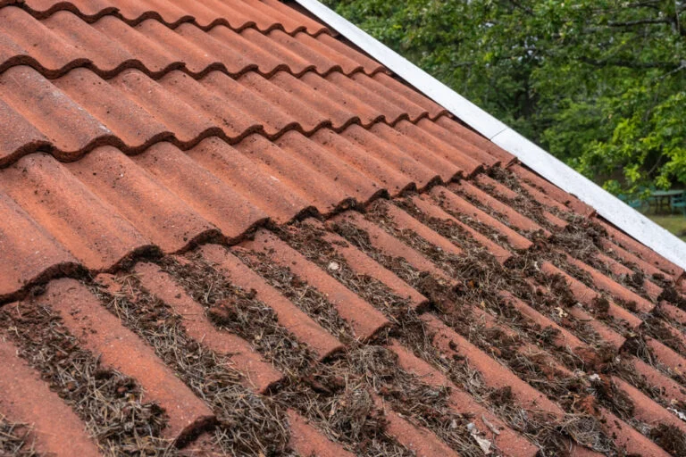 Roof tiles with patches of moss