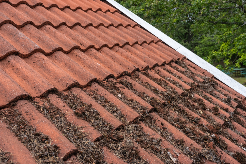 Methods of Roof Cleaning