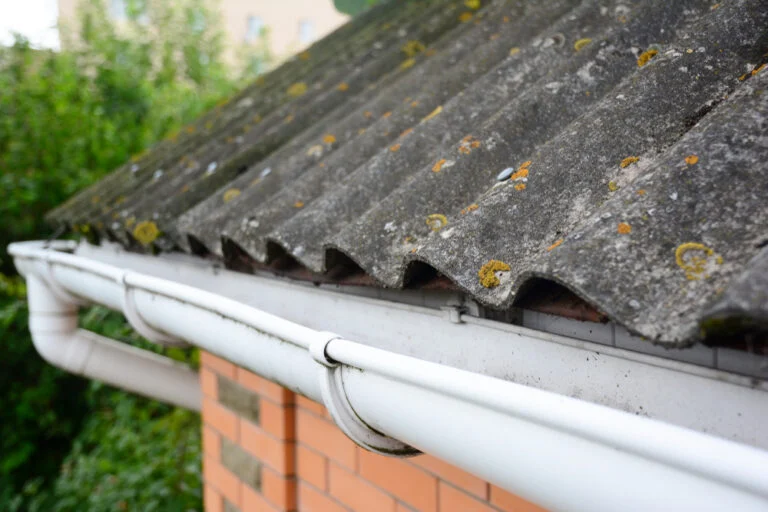 Moss and debris collected in a gutter