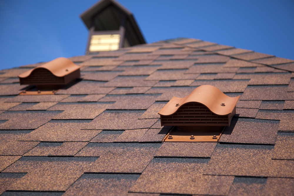 Vital tips for cleaning roof stains