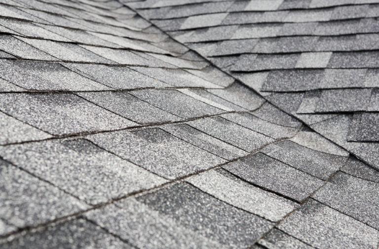 Roof tiles with patches of moss