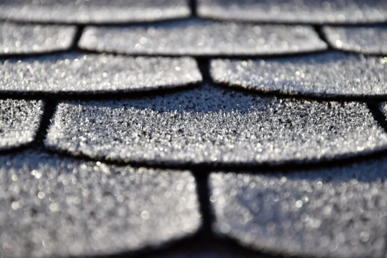Roof tiles with patches of moss