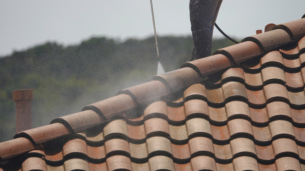 The need for professional roof cleaners