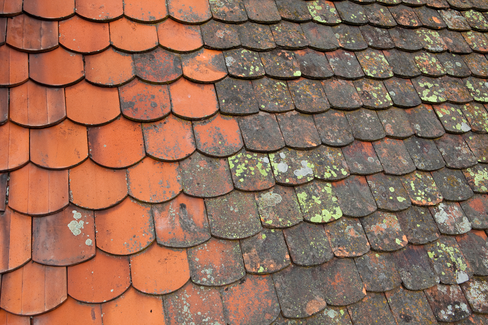 Vital tips for cleaning roof stains