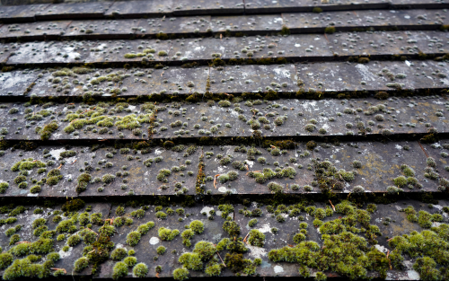 Cleaning Solutions For A Dirty Roof
