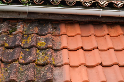 Roof tiles with a cleaned test area