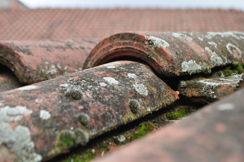 Roof Cleaning Solutions Against Moss And Grime