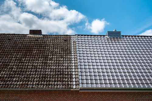 Hiring Roof Cleaning Services to Maintain Hygiene and Cleanliness