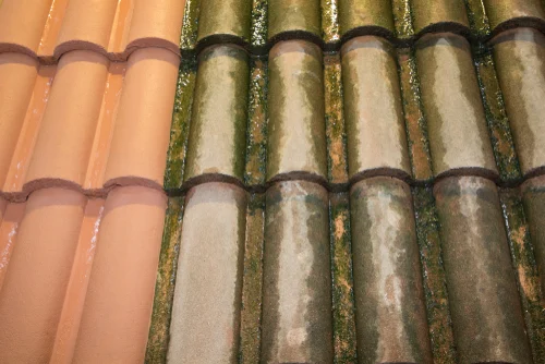 Moss and staining on curved roof tiles