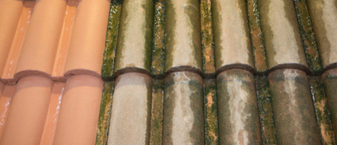 Important Tips For Roof Cleaning