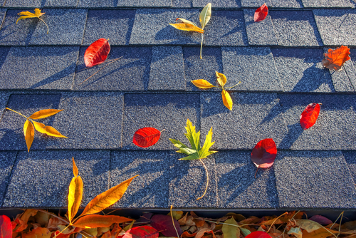 Do you need a professional gutter cleaner?