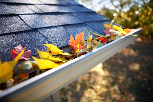 How Frequently Should Gutters Be Cleaned?