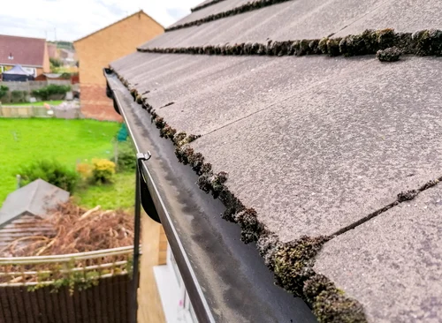 Gutter along the edge of a sloping roof