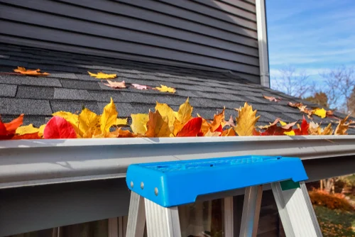 Autumn leaves in a roof gutter