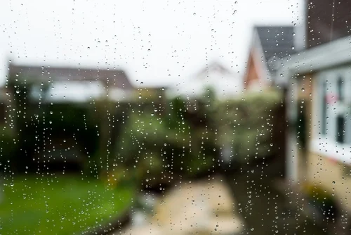 Rain on glazing with a garden beyond