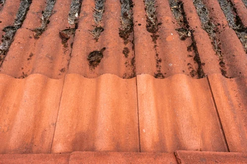 Brush beside moss on red roof tiles