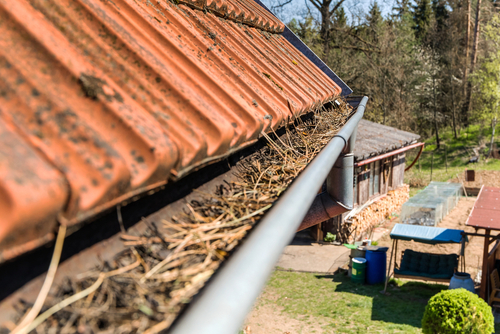 Cleaning Gutters: Why and How?