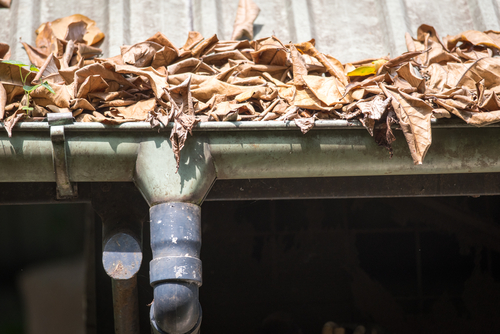 How To Stop Your Gutters From Getting Clogged