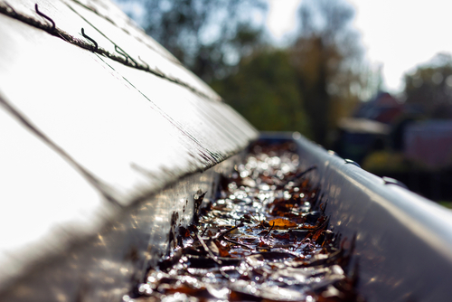 Home Gutter Cleaning Mistakes You Should Avoid