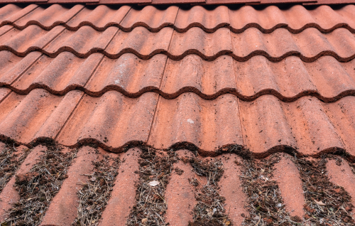 A guide to choose the right Roof Cleaning Service