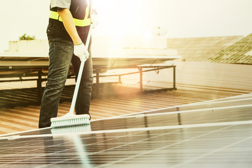 Everything you should know about roof cleaning services