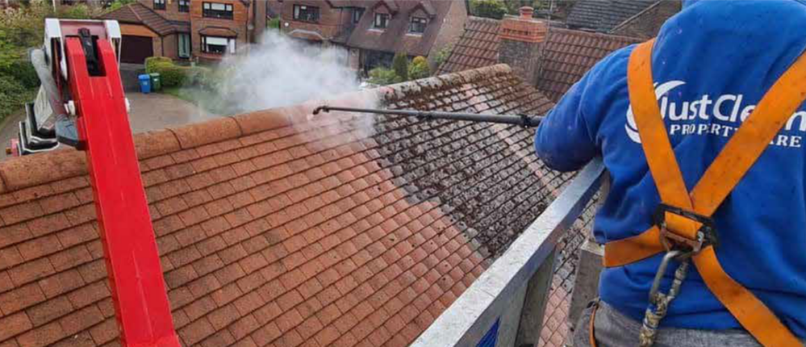 Roof Cleaning