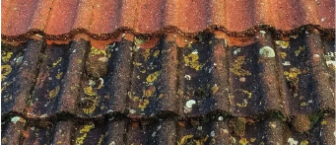 Choosing the right Roof Cleaning Company