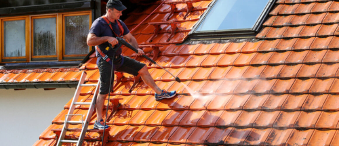 roof cleaning