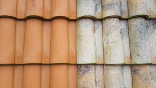 Roof Cleaning: Tackling Tough Stains