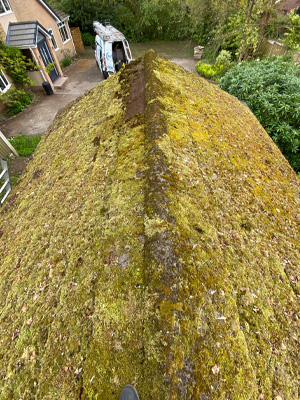Very dirty roof absolutely covered in green moss