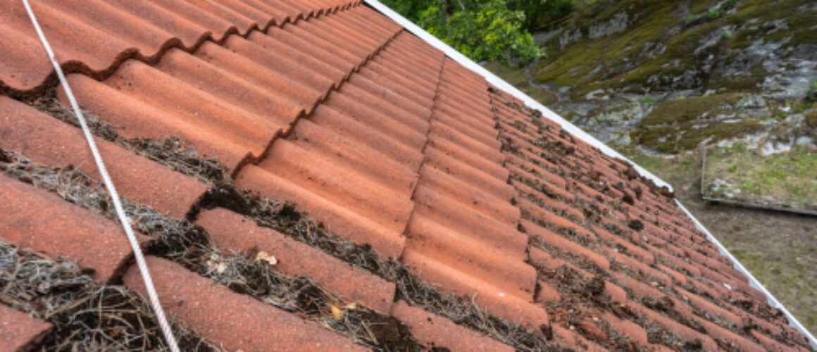 How To Extend Your Roof’s Lifespan With Roof Cleaning