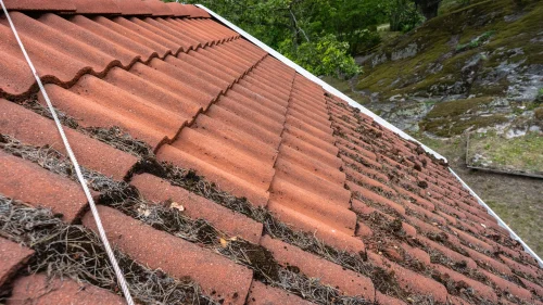 Roof tiles with patches of moss