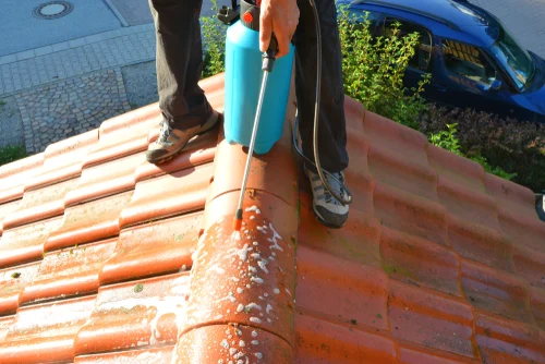 Worker removing moss along the ridge of a tiled roof