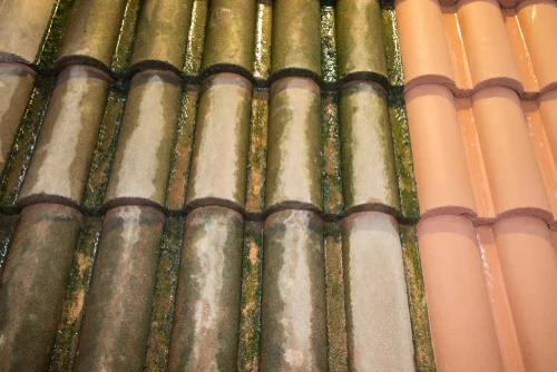 Moss and staining on curved roof tiles