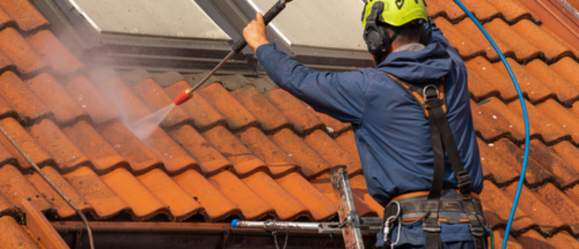 Moss, Mould, and Mildew: How to Prevent and Remove Them from Your Roof