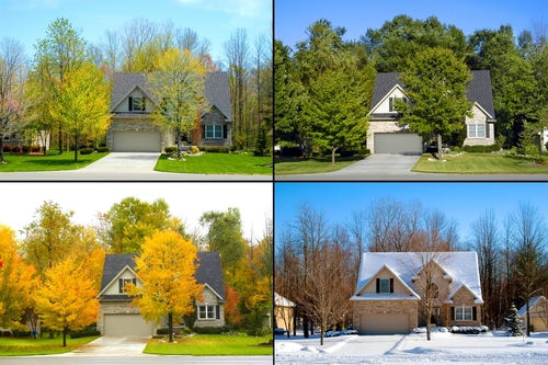 Roof Cleaning in Different Seasons: Best Practices for Year-Round Maintenance